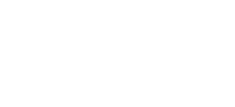 insekt